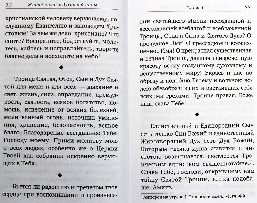 Живой колос с духовной нивы. Выписки из дневника святого праведного Иоанна Кронштадтского за 1907–1908 годы — изображение 3