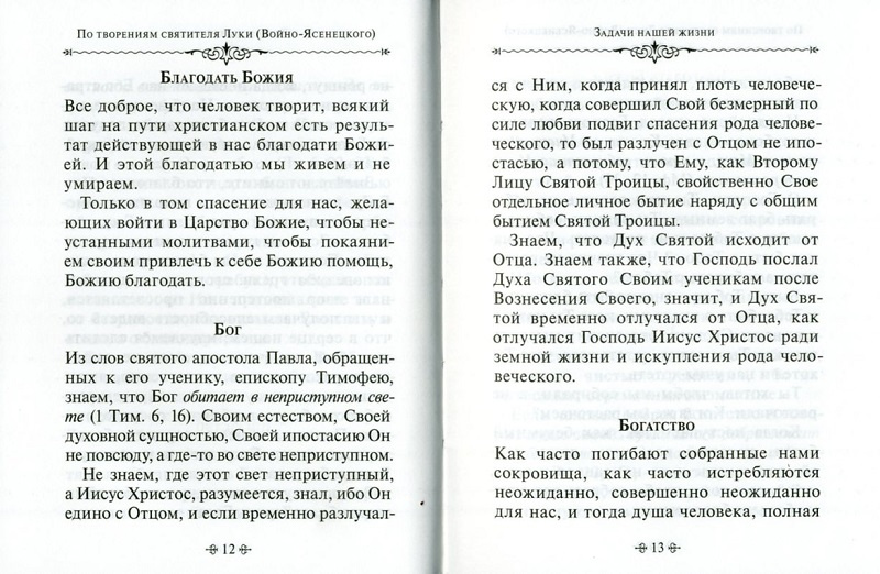 Задачи нашей жизни. По творениям святителя Луки (Войно-Ясенецкого) — изображение 2