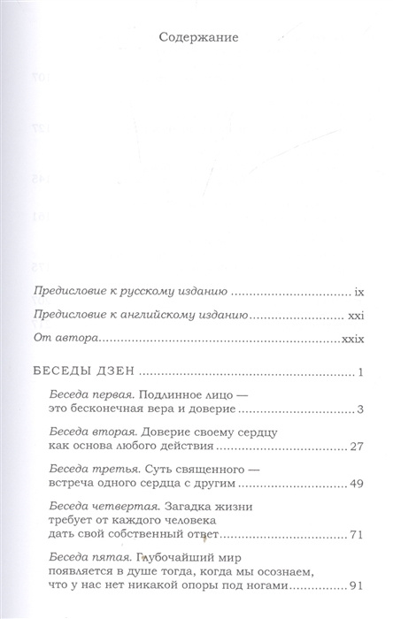 Больше, чем кто-либо может сделать. Беседы дзен — изображение 2