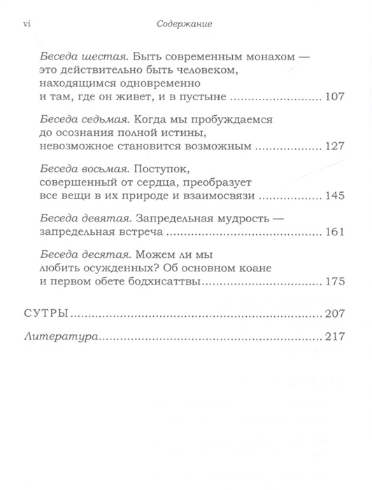 Больше, чем кто-либо может сделать. Беседы дзен — изображение 3