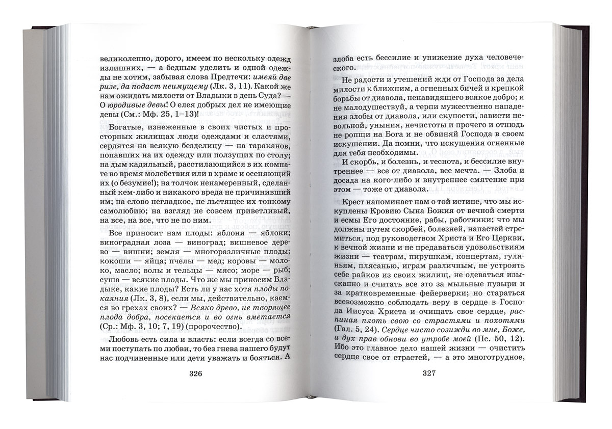 Творения. Дневник. Том VI. 1864 август–декабрь. Спасение души. О скорбях и искушениях — изображение 3