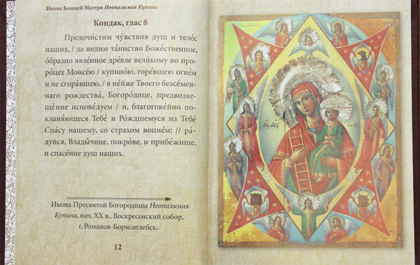 Всегда с тобою. Молитвы Божией Матери на каждый день — изображение 3