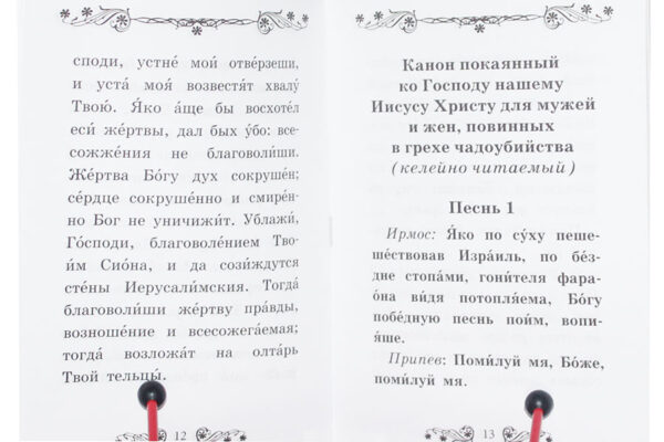 Молитвенное последование с каноном покаянным о грехе убийства чад во утробе (аборта) — изображение 2