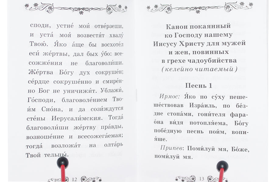 Молитвенное последование с каноном покаянным о грехе убийства чад во утробе (аборта) — изображение 2
