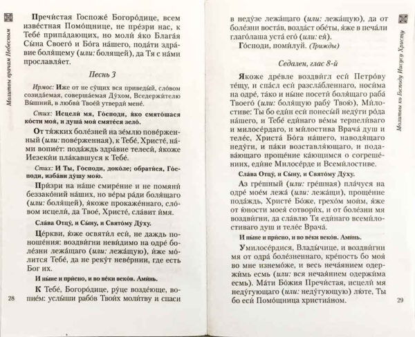 Молитвы врачам небесным. Как молиться болящим и о болящих — изображение 3