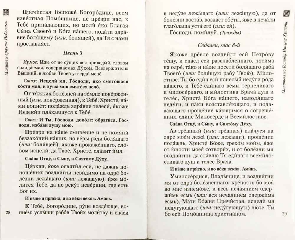 Молитвы врачам небесным. Как молиться болящим и о болящих — изображение 3