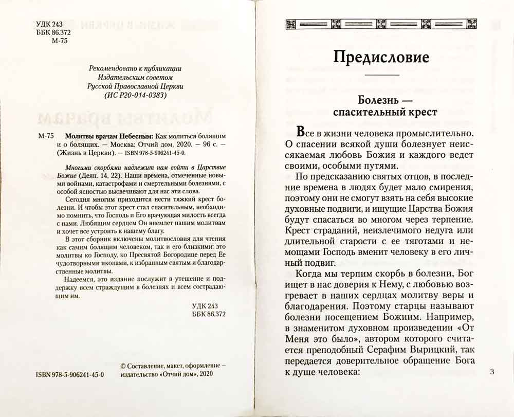 Молитвы врачам небесным. Как молиться болящим и о болящих — изображение 2