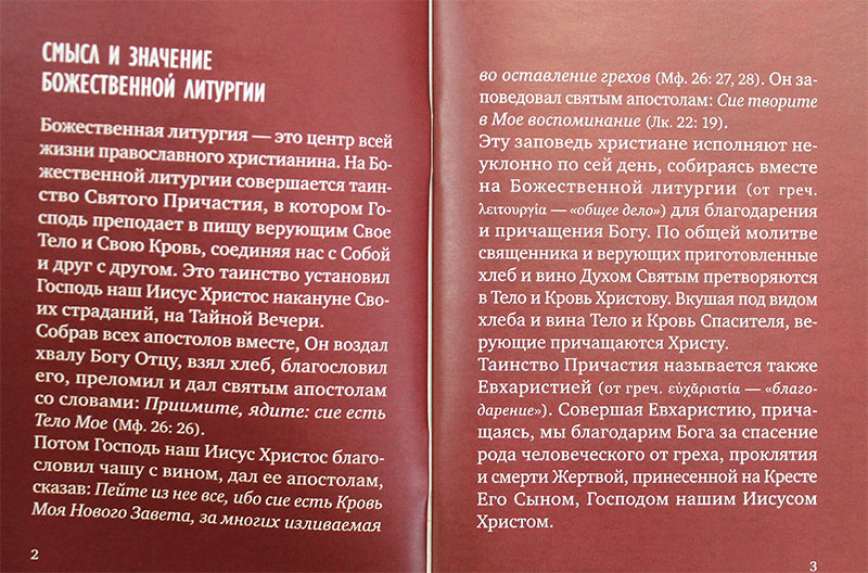 Божественная Литургия. Смысл и порядок богослужения — изображение 2