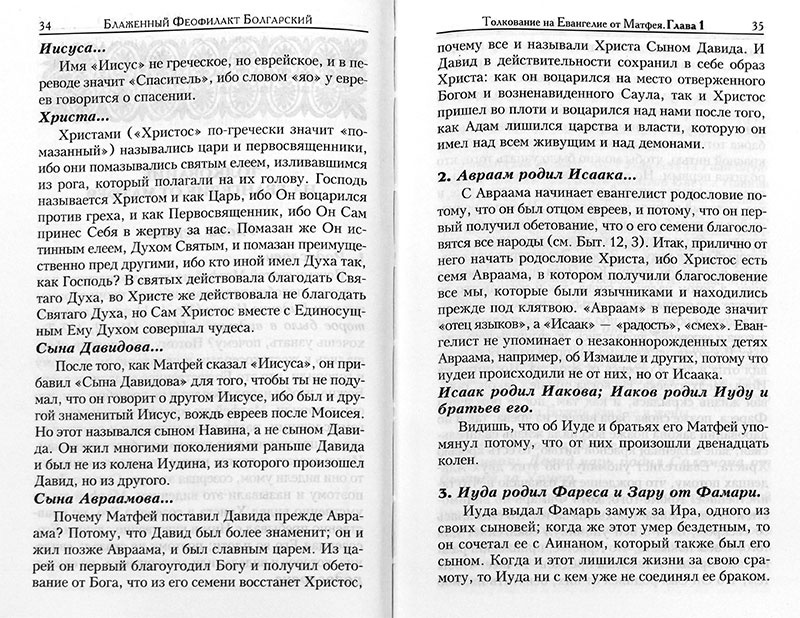 Толкование на Святое Евангелие в 2-х томах — изображение 2