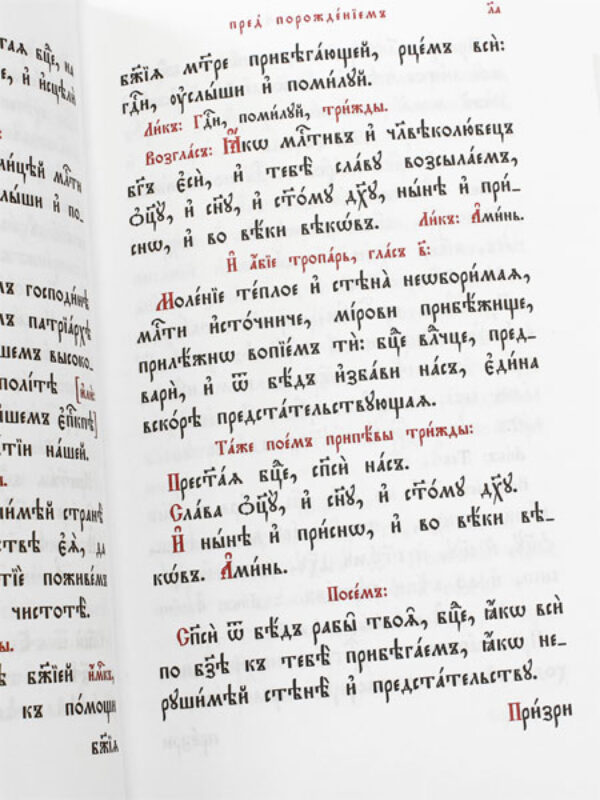 Молебны о супружестве, супрузех, чадех, болящих и учащихся — изображение 2