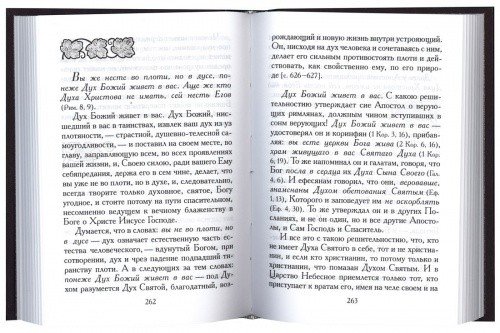 Созерцание разумом образа спасения — изображение 3